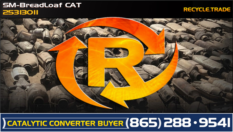 SM-BreadLoaf CAT 25313011 Scrap Catalytic Converter 