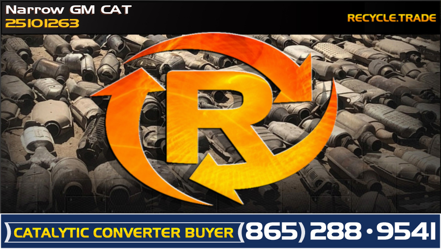 Narrow GM CAT 25101263 Scrap Catalytic Converter 